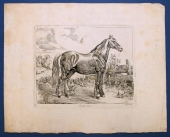 Johann Adam Klein (1792-1875)   Black-horse