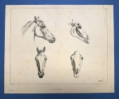 Johann Adam Klein (1792-1875), Nature Study of a Horse Head