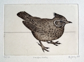 Frydl Prechtl- Zuleeg  (geb. 1934), Crested Lark