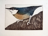 Frydl Prechtl- Zuleeg (geb. 1934), Bird