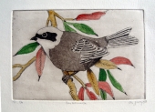 Frydl Prechtl- Zuleeg (geb. 1934), Penduline Tit
