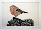 Frydl Prechtl- Zuleeg (geb. 1934), Robin