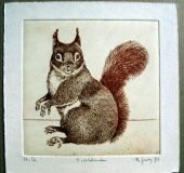 Frydl Prechtl- Zuleeg (geb. 1934), Squirrel