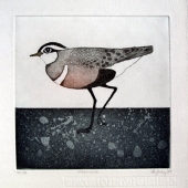Frydl Prechtl- Zuleeg (geb. 1934), Dotterel