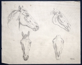 Johann Adam Klein (1792-1875), Nature Study of a Horse Head