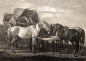 Preview: Johann Adam Klein, Fütterung der Pferde während einer Rast