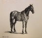 Preview: Johann Adam Klein, Russisches Pferd