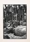 Preview: Franz Hein, (1863-1927), Forest Ruins