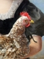 Preview: Caroline von Moro, girl with chicken