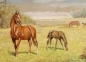 Preview: Georges Swertschkoff, Horses on pasture