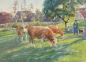 Preview: Andreas Bach, cows in the pasture