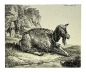 Preview: Johann Christian Reinhart, Resting Goat