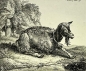 Preview: Johann Christian Reinhart, Resting Goat