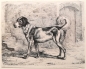 Preview: Johann Adam Klein, Der Hund