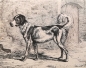 Preview: Johann Adam Klein, The Dog