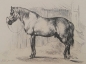 Preview: Johann Adam Klein, The horse with a cavesson