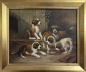 Preview: Unknown, Young Saint Bernard - Dog family