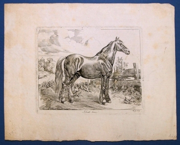 Johann Adam Klein, Schwarzes Pferd