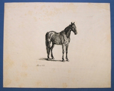 Johann Adam Klein, Russisches Pferd