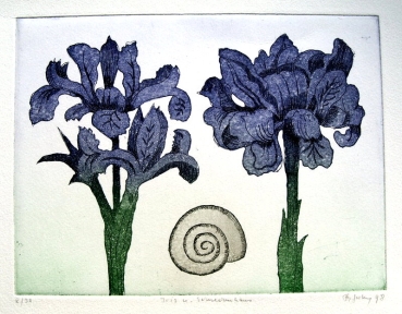 Frydl Prechtl-Zuleeg, Iris and Snail Shell