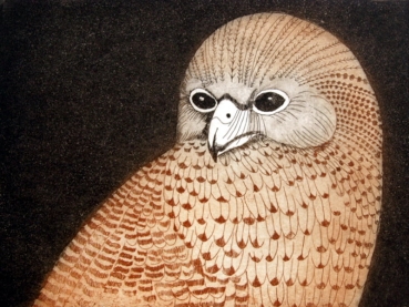 Frydl Prechtl-Zuleeg, Pel's Fishing Owl