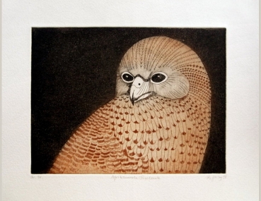 Frydl Prechtl-Zuleeg, Pel's Fishing Owl