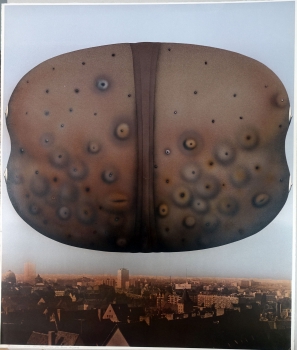 Günter Dollhopf, Organic form above city