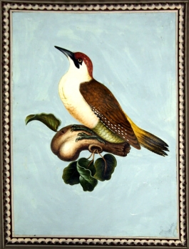 Franz Anton Winter, The Green Woodpecker