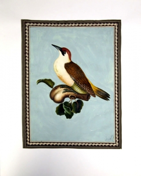 Franz Anton Winter, The Green Woodpecker