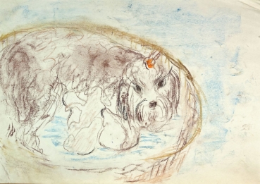 Gudrun Kunstmann, Dog in basket