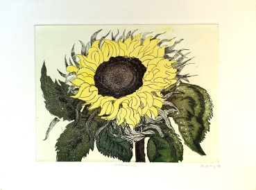 Frydl Prechtl-Zuleeg, Sunflower