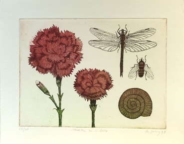 Frydl Prechtl-Zuleeg, Carnations and Dragonfly