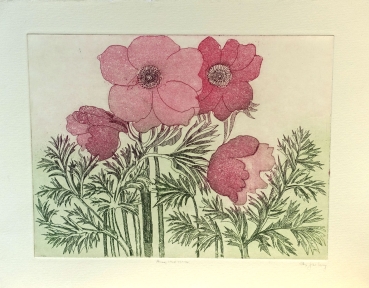 Frydl Prechtl-Zuleeg, Anemones