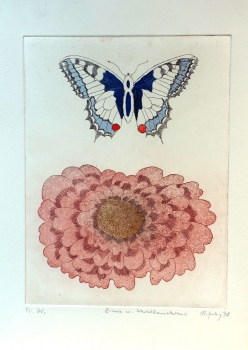 Frydl Prechtl-Zuleeg, Zinnia and Swallowtail