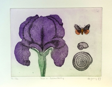 Frydl Prechtl-Zuleeg, Iris, butterfly and snail shell