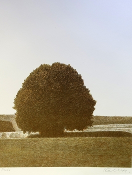 Udo Kaller, Big Tree