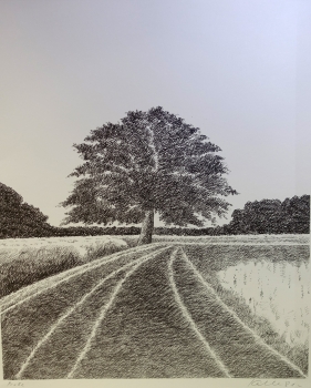 Udo Kaller, Tree on a road