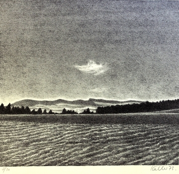 Udo Kaller, Wide landscape