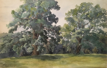 Martin Wilhelm, Old oak trees in the park at Feldafing Starnberger See Aug. 1921