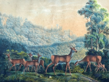 Karl Dietrich Pirscher, Roe deer