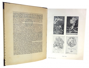 W. von zur Westen, Bookplates Book Art and Applied Graphics Volume 32 New Series Volume 16