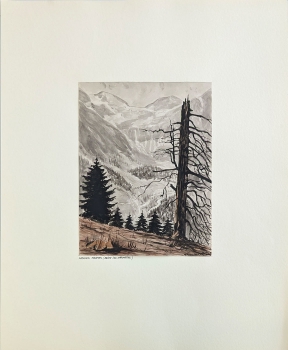 Emil Scheidig, Hohe Tauern (Blick ins Käfertal)