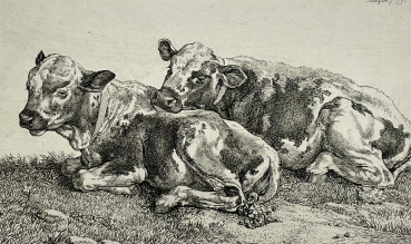 Johann Christian Reinhart, Zwei Kühe auf der Wiese