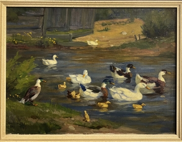 Hans Maulwurf, Ducks in the pond