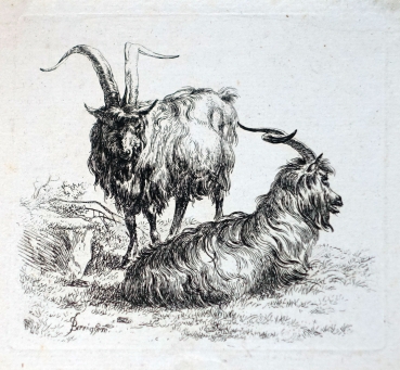 Johann Adam Klein, Goats