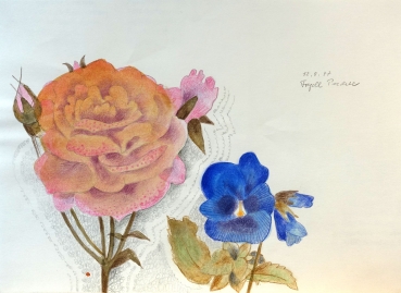 Frydl Prechtl-Zuleeg, Rose and Pansy