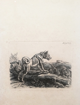 Johann Adam Klein, Der Hund und die Katze