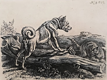 Johann Adam Klein, The dog and the cat