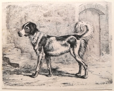 Johann Adam Klein, Der Hund