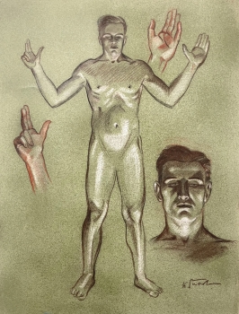 Karl Seubert, anatomical men studies drawing